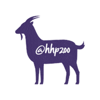 HHPZOO  Sticker