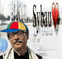 Sheikh Hasina Statement GIF