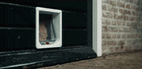 GIF by KPN