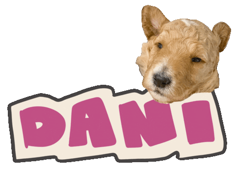 jellybees sticker dani goldendoodle golddanidoodle Sticker