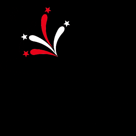 National Day Fireworks GIF by Royce Dental