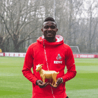 2. bundesliga football GIF by 1. FC Köln