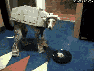 GIF by Demic