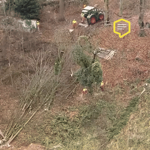 Police Omg GIF by Linz News