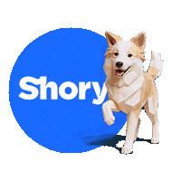 Petinsurance Sticker by getShory