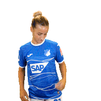 Logo Sticker by TSG Hoffenheim