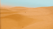 GIF by MAJOR LAZER
