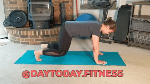daytodayfitness giphygifmaker planks day to day fitness plank variations GIF