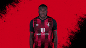 Football No GIF by AFC Bournemouth