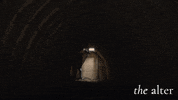 Discover Let Go GIF by Swamp