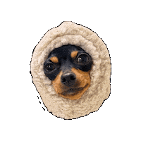 Dog Sticker