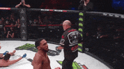 happy mma GIF by DAZN USA