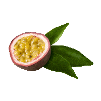 Orlenleto Sticker by ORLEN CZ