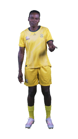 Banyanabanyana Sticker by Shield South Africa
