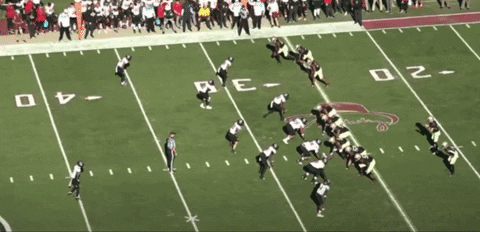 bson1011 giphygifmaker GIF