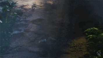 Crash Mud GIF by Xbox