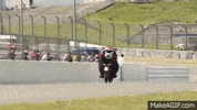 kumamon GIF