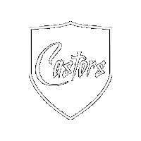 asniereshockeyclub hockey icehockey hockeysurglace castors Sticker