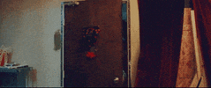 in the end GIF by Polyvinyl Records