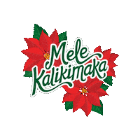 Merry Christmas Sticker by Foodland