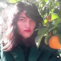 Forest Nfts GIF by Alina Sánchez