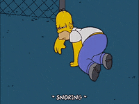 homer simpson GIF