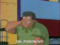 hey arnold nickelodeon GIF