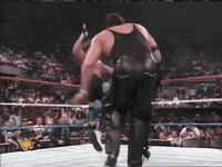 shawn michaels 90s GIF