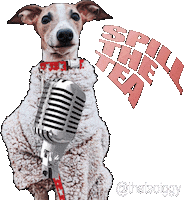 Italian Greyhound Dog Sticker by normanandpiper