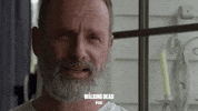 foxnederland  GIF