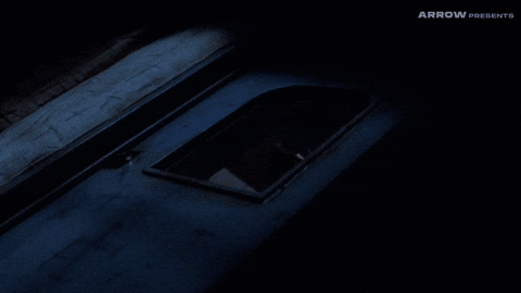 John Carpenter Horror GIF by Arrow Video