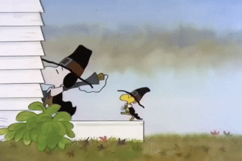 charlie brown thanksgiving GIF by Peanuts