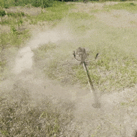 Georgia Chainsaw GIF by Spektr