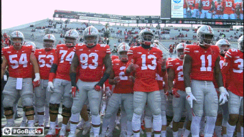 Ncaa Sports GIF by Ohio State Athletics