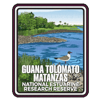 Aquatic Preserve Sticker by FLDEP