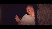 dsvltavan reaction hello hi bye GIF