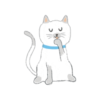easypetseu cat kat marley funnycat Sticker