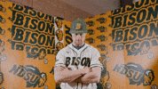 Baseball Bison GIF by NDSU Athletics