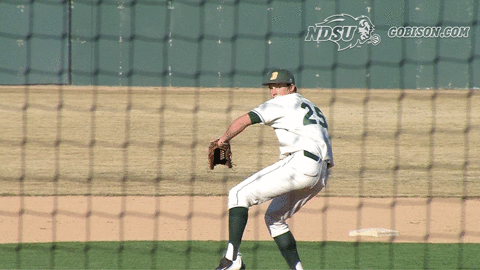 north dakota state baseball GIF by NDSU Athletics