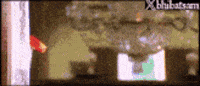 Telugu Comedy Catfish GIF