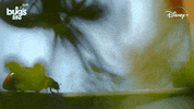 National Geographic Bug GIF by Nat Geo Wild