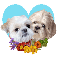 My Girl Love You Lots Sticker
