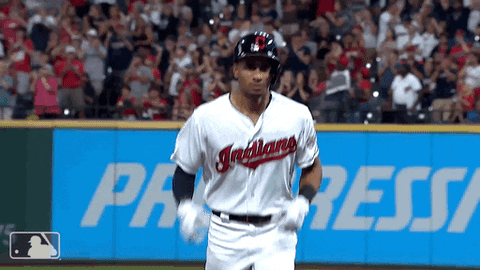 Celebrates Major League Baseball GIF by MLB
