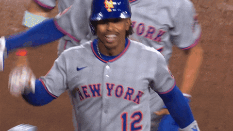 Home Run Baseball GIF by New York Mets