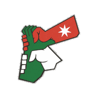Independence Day Celebration Sticker by All Jordan Youth Commission