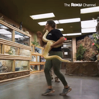 Reptile Dance