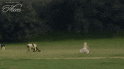 Escape Run Away GIF by Amazon Prime Video