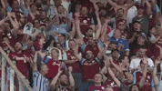 Celebrate Premier League GIF by Aston Villa FC