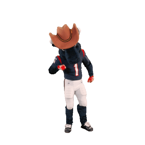 Clap Clapping Sticker by Houston Texans