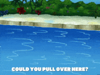 season 6 GIF by SpongeBob SquarePants